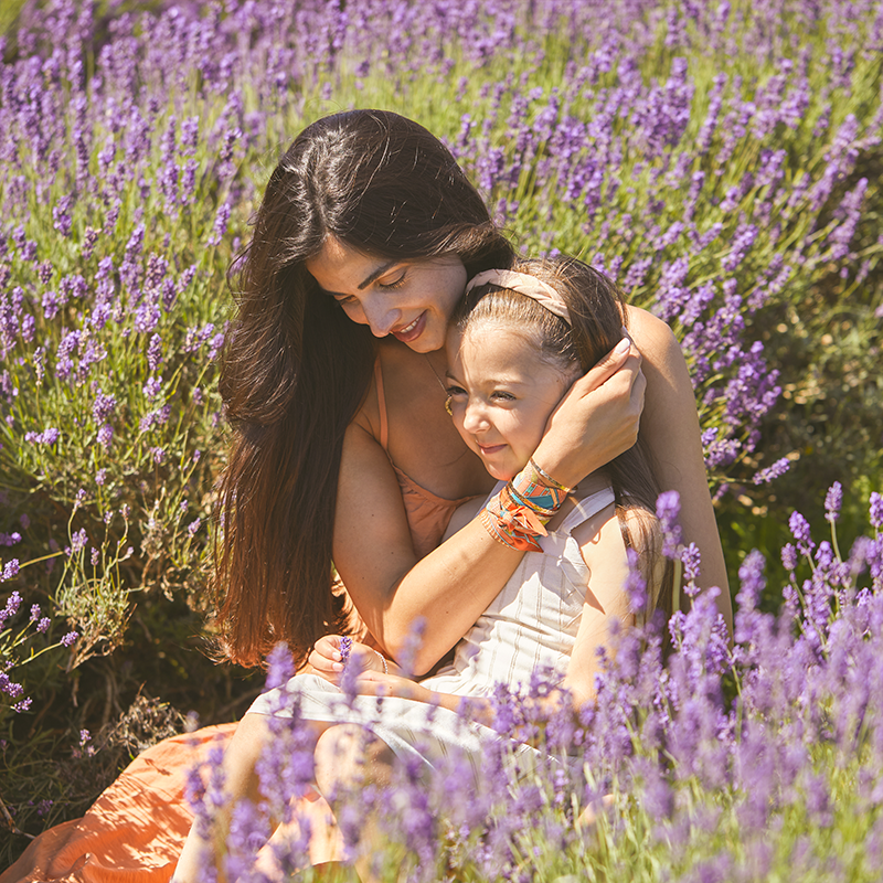 Product of Lavender Field Shoot